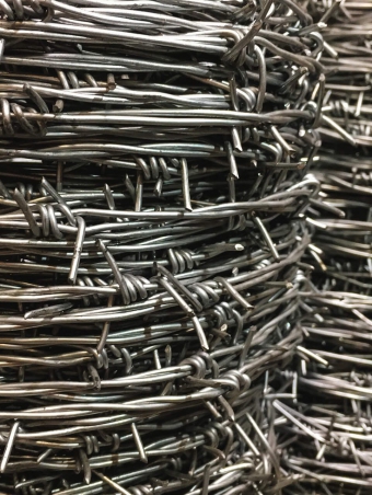 shutterstock_711807712