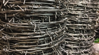 shutterstock_711807712